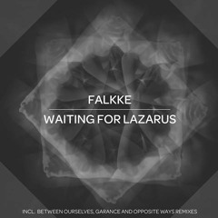 PREMIERE: Falkke - Archer (Opposite Ways Remix) [No Way Records]