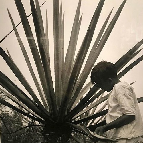 Master of Desaster!!! 😎😎