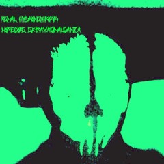 Renal Hydronephrosis Noisecore Extravaginalganza