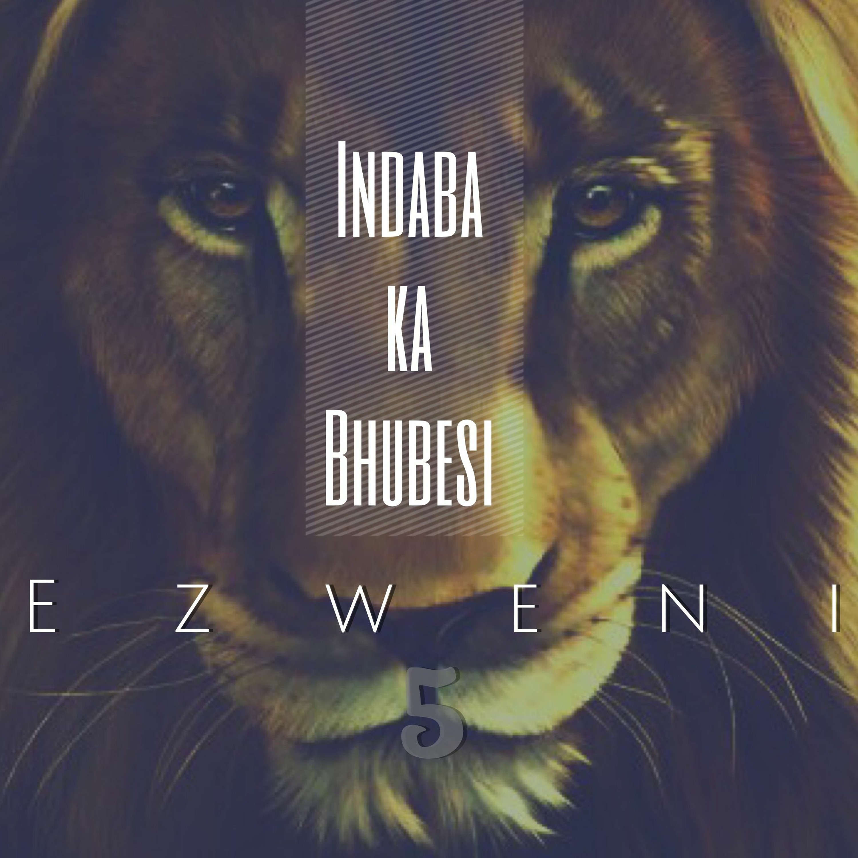Indaba Ka Bhubesi episode artwork