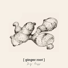 [ ginger root ]