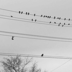 Cascade prod. P.Soul