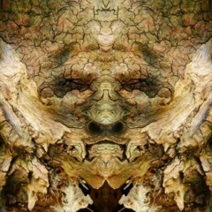 Frog Legs From The Everglades