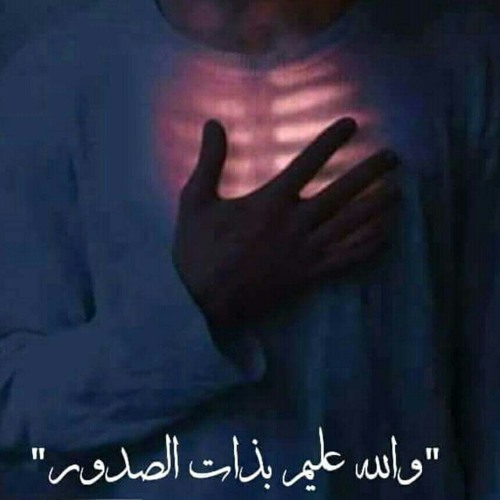 مشاري وليد البغلي سورة القلم - Mishari Walid Albag(M4A_128K).m4a