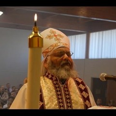 Fr. Antonious Tanious Palm Sunday Peklaos Ghar