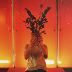LOST IN THE JUNGLE