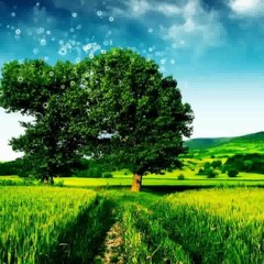 Islamic arabic songs