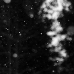 Lost Focus