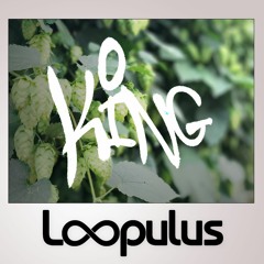 King - prod. Loopulus