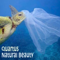 Natural Beauty