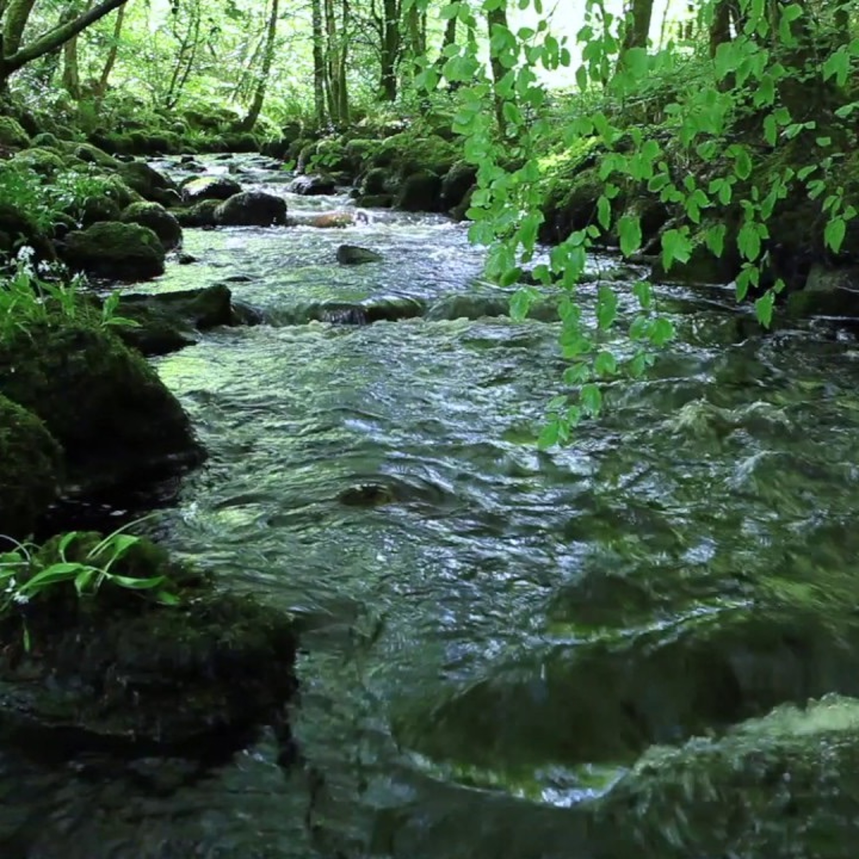 IHABFAT EP 6 leave no trace