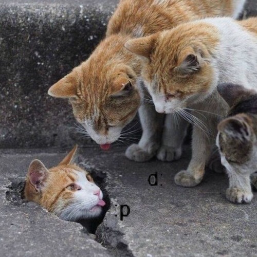 (fucked) moon river (feat. ren haze)