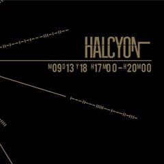 DTL Records Vinyl Showcase - Recorded Live @ Halcyon Record Shop - Brooklyn NYC - Sept 13-2018