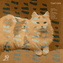 PREMIERE: Cody Currie - Passing [In The Box Records]