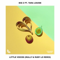 Big Z - Little Voices (ft. Tara Louise) (Mully & Ruby LO remix) 🍉