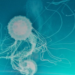 Thunder Dream - FREE DL