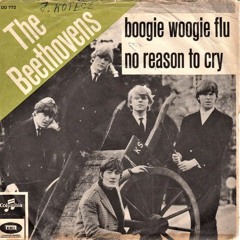 Boogie Woogie Flu ( Playback )