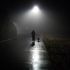 fongi 9-18 night time.