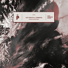 PREMIERE - Los Fugazzi & Vongold - Convalescent (Gameboyz Remix) (Playground)