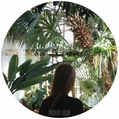 dj houseplants - where we met