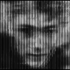 White Noise