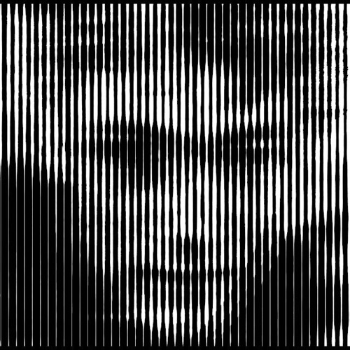 White Noise
