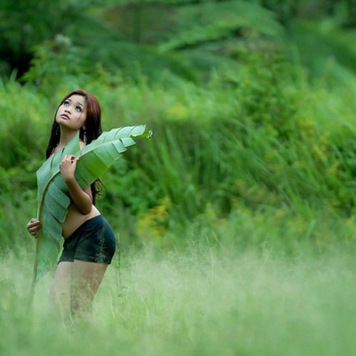 MEMORI DAUN KELADI [ 4-Tall ft. RyanInside ] #OnProses