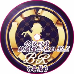 DJ 小慌 -《你不回我就感覺你在趴NO.2 & BR專屬》