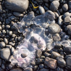 Crepuscolo Sul Mare (Remix)