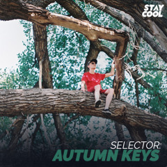 Selector: autumn keys (guestmix)