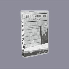 prgmat - concrete jungle flava [full tape] [out now]