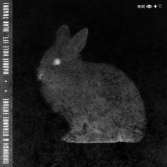 Chuurch + Strange Future - Rabbit Hole (feat. Blak Trash)