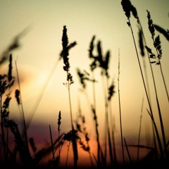 Gioli & Assia-Something Special (Sperber & Oener,Loco Flex Mash Up)