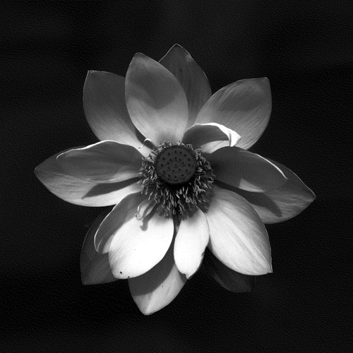 Turning (David Douglas Remix)