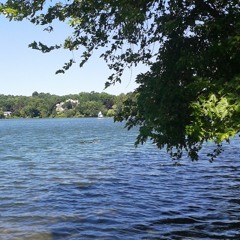 End of Life Issues, Week 7 (Updated): Legal and Moral Issues