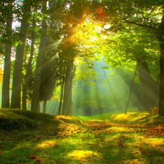 MO$HI - FLY AWAY REMIX FEAT. FRANSZN