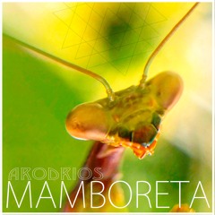 Arodrios - MAMBORETA ( free download )