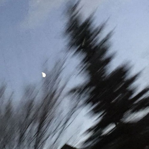 not worth it (feat. scum) (prod. discent)