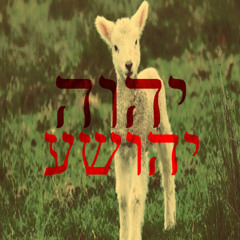 Atonement (Lev 23:26-32)