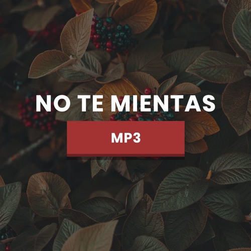 No Te Mientas