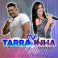 Chao Chao NOVO