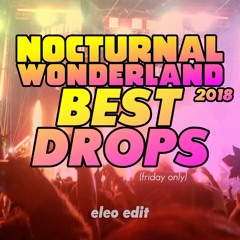 Nocturnal Wonderland 2018 - Best Drops in Flow (friday)