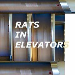RATS IN ELEVATORS