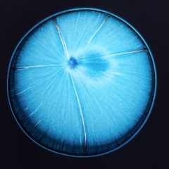 Righteous Rhythm #001