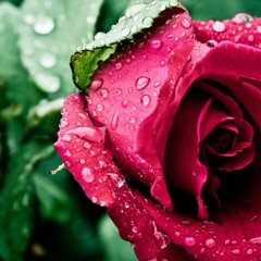 Once Upon A Broken Heart (acoustic)