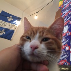 bluedream made me do it