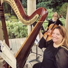 Cello-Harp - The Swan (Saint Saens)