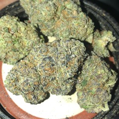 cash flips Pmoney X Jayjonah X lil nuni