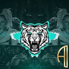 Shanti People - Tandava [Somnia Remix, ARMAND Radio Edit]