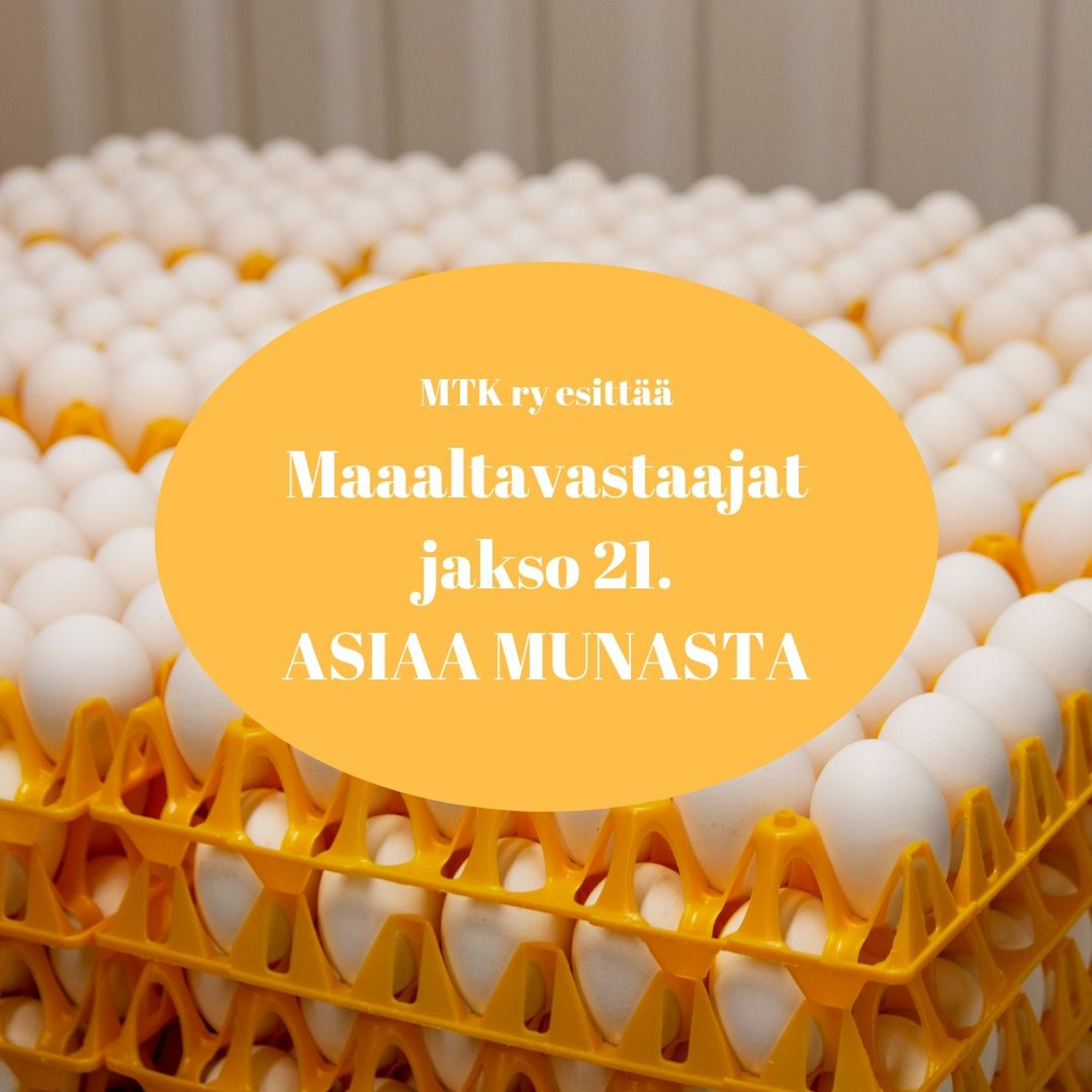 Maaltavastaajat